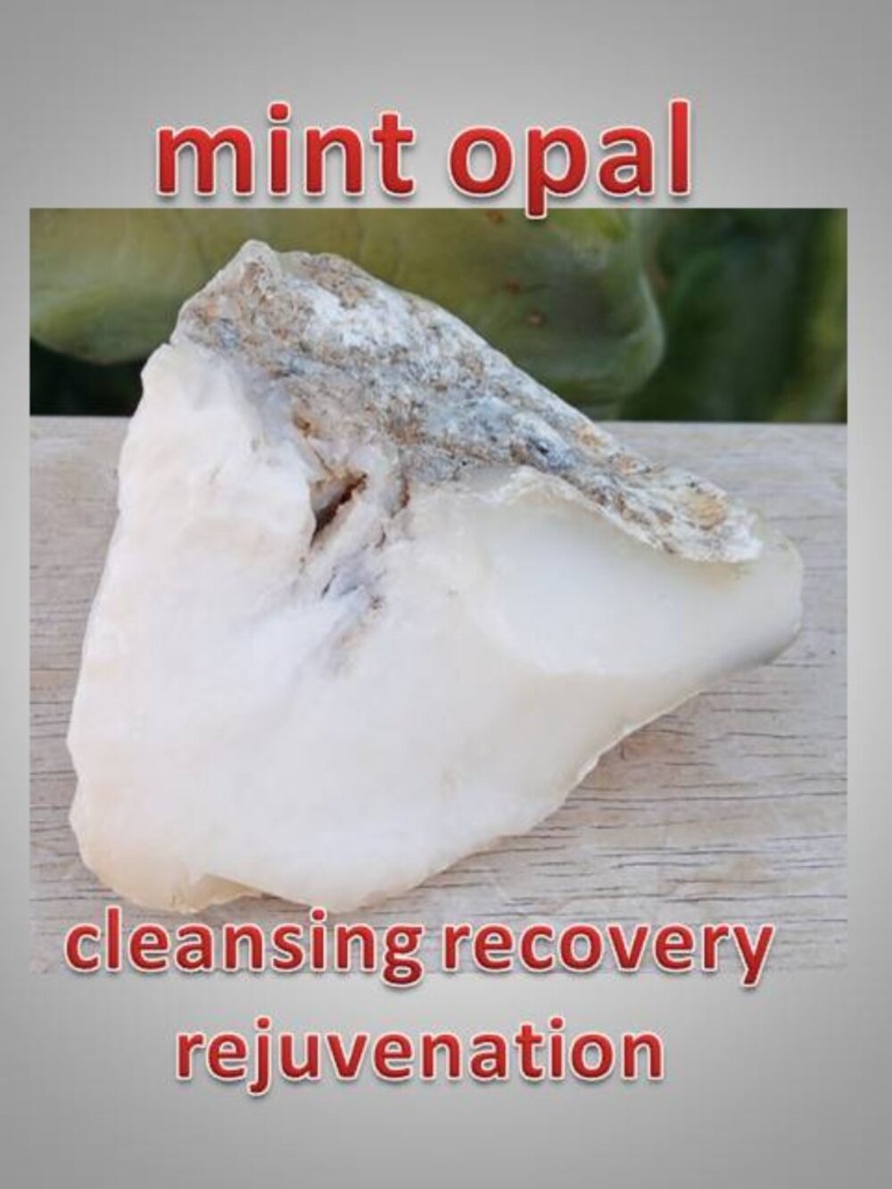 mint OPAL from Indonesia 02 Rejuvenating Cleansing